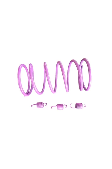 TVS Scooty Zest 110 Motosiklet Arka Varyatör Performans Yayı + Balata Yayı ürün görseli 1