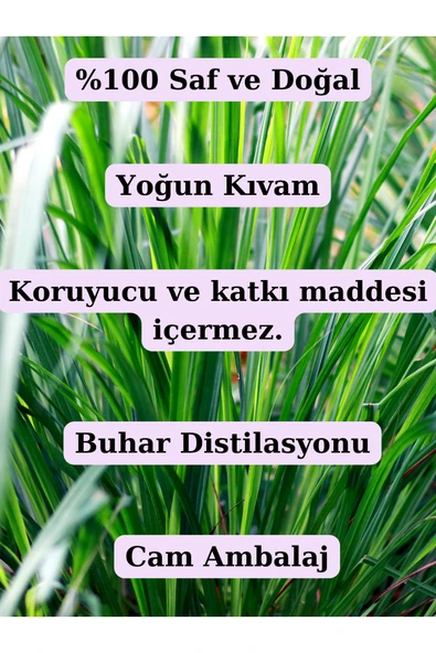 Antik Şifa %100 Saf Limon Otu Uçucu Yağı - (10 ML) - Resim 3