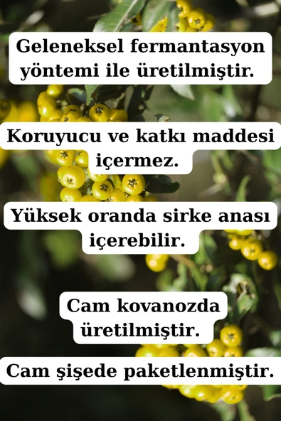 Antik Şifa Çam Kozalağı Sirkesi ve Alıç Sirkesi ( 250 ml + 250 ml ) - Doğal Fermente - Resim 5