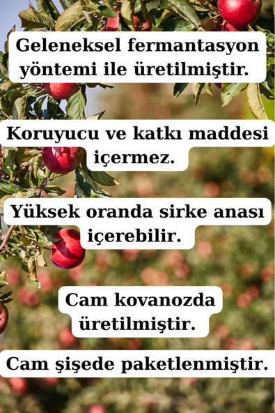 Antik Şifa Elma Sirkesi ve Kızılcık Sirkesi ( 250 ml + 250 ml ) - Doğal Fermente - Resim 4