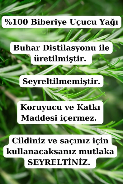 Antik Şifa Biberiye Yağı Ve Kafur Uçucu Yağı (10ML 10 ML)- %100 Seyreltilmemiş, Doğal - Resim 3