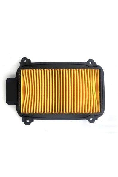 Hero 102 Pleasure - Duet Hava Filtre Elemanı - Resim 3