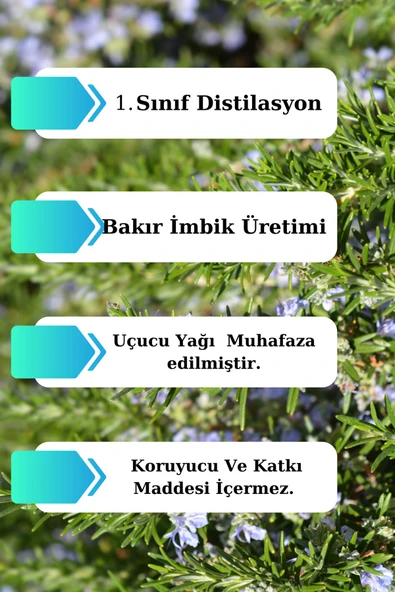 Antik Şifa Biberiye Suyu 100 ml - %100 Saf Seyreltilmemiş Doğal Biberiye Hidrosolü - Resim 4