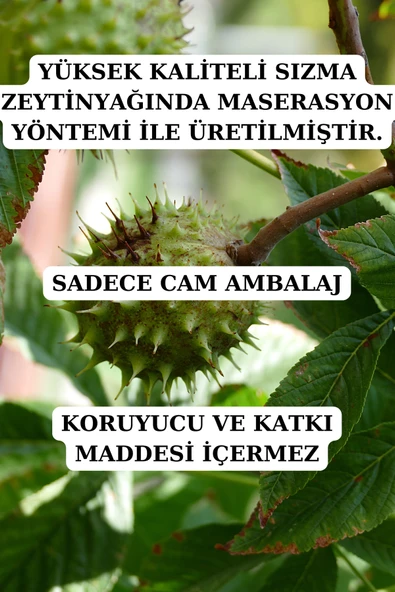 Antik Şifa At Kestanesi Yağı (20 ml+ 20ml) - Doğal At Kestanesi Yağı - Resim 2