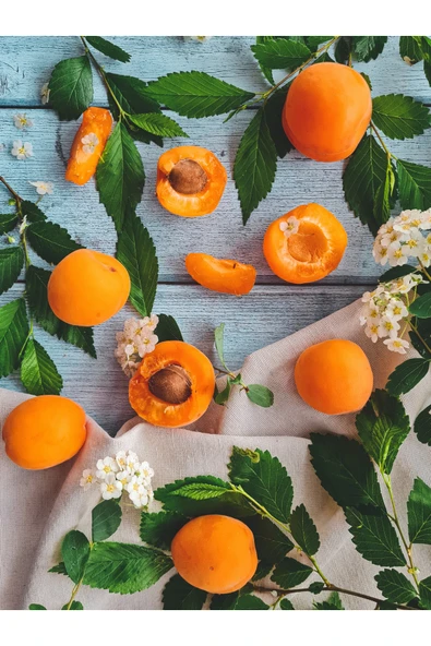 Antik Şifa %100 Saf Kayısı Çekirdeği Yağı - 20 ml - Resim 3