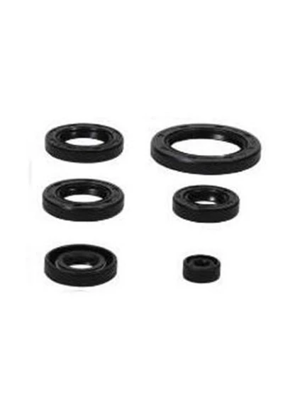 Cg Full Keçe Seti 6'li 125/150/200 ürün görseli 1