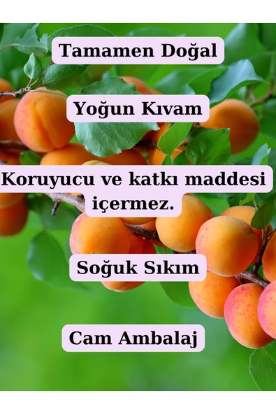 Antik Şifa %100 Saf Kayısı Çekirdeği Yağı - 20 ml - Resim 2