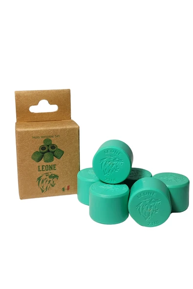 Honda Forza NSS 300cc Leone Performans Bagası ürün görseli 1