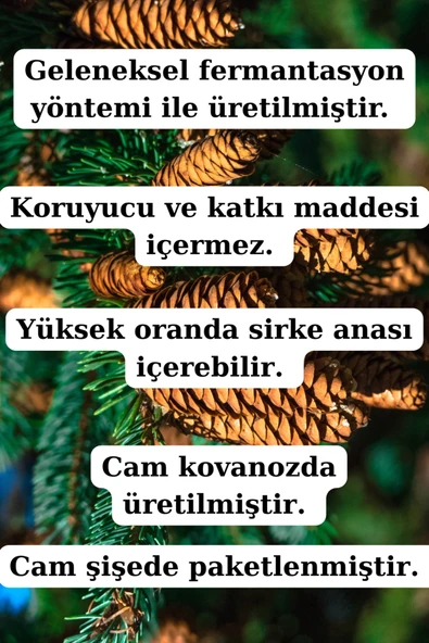 Antik Şifa Çam Kozalağı Sirkesi 250 ml - Doğal Fermantasyon Geleneksel yöntem üretim - Resim 2