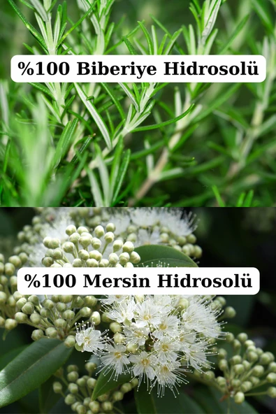 Antik Şifa Gözenek Sıkılaştırıcı Yüz Bakım Seti- Biberiye, Ölmez Çiçek Ve Mersin Suyu (3 X 100ML) Doğal - Resim 3