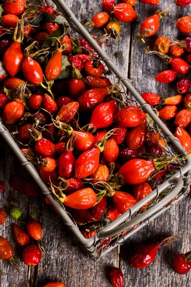 Antik Şifa Kuşburnu Çekirdeği, Üzüm Çekirdeği Ve Nar Çekirdeği Yağı (3X20ML)-%100 Saf Doğal Sabit Yağ Seti - Resim 4