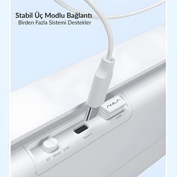 Aula S100 Pro RGB Mekanik Hot Swap Red Switch Mavi Kablosuz Gaming Klavye - Resim 5