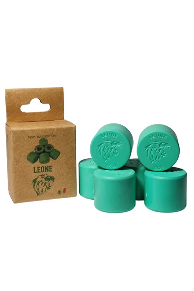 SYM GTS 250i Evo 250cc Leone Performans Bagası ürün görseli 1