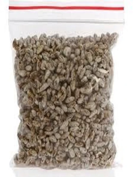 İSTİRİDYE MANTAR TOHUMU 10 KİLO ürün görseli 1