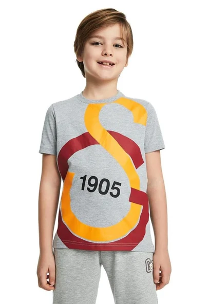 Galatasaray Büyük Logolu Çocuk Tee Gri T-shirt