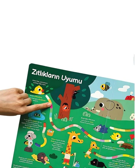 Genel Kültür Kitabım Tanıyorum - 3