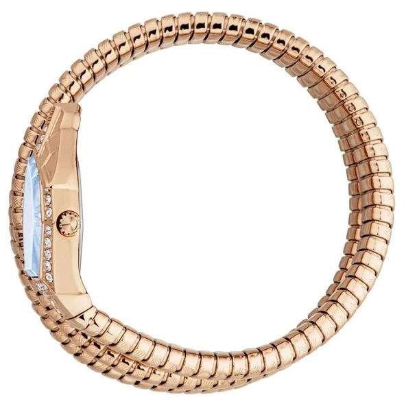 Just Cavalli JC1L304M0045 Kadın Kol Saati - Resim 3