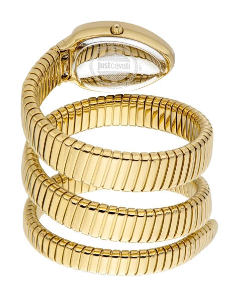 Just Cavalli JC1L232M0025 Kadın Kol Saati - Resim 2