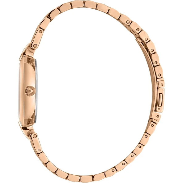 Just Cavalli JC1L194M0075 Kadın Kol Saati - Resim 3