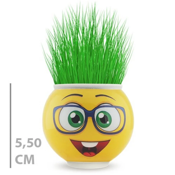 Çim Adam Saksı Emoji Figürlü 1 Adet - Resim 2