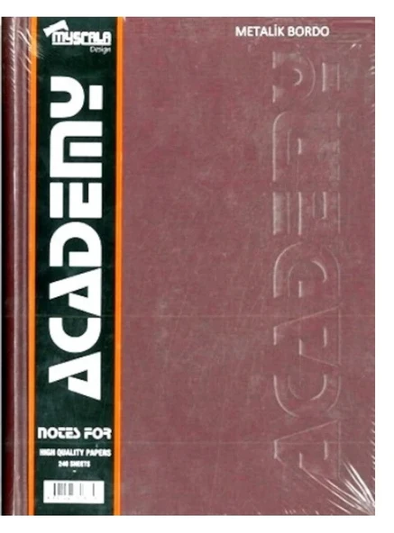 Defter 300 Yaprak Ciltli 20x28 Sert Kapak Çizgisiz - 6