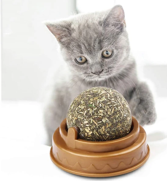 Kedi Nanesi Oyun Topu - Resim 4