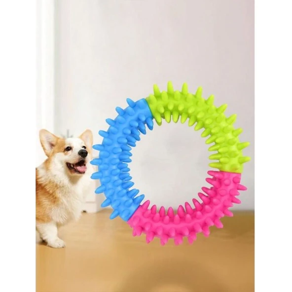 Köpek Isırma Diş Kaşıma Çemberi - Resim 3