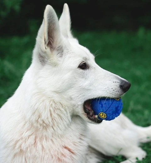 SESLI MAMA OYUN TOPU - Resim 4