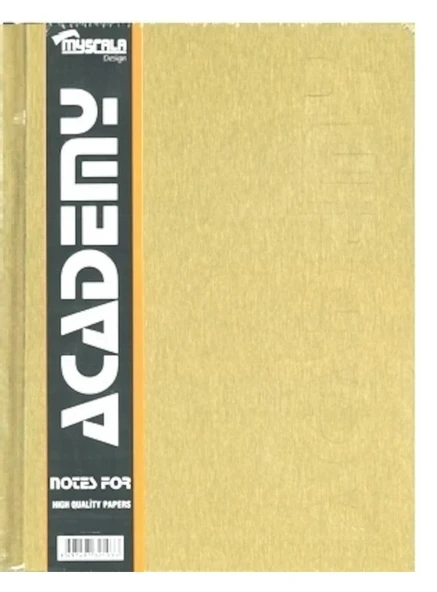 Defter 160 Yaprak Ciltli 20x28 Sert Kapak Kareli Özkan - 8