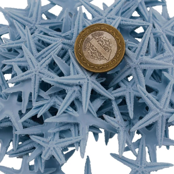 Polyester Deniz Yıldızı Minik Boy  0.5 CM- 1.5 CM (100 Adet)  Açık Mavi ürün görseli 1