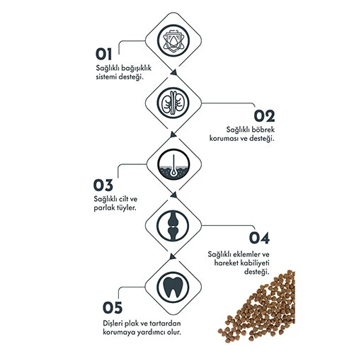 Pro Performance Somonlu ve Yaban Mersinli Küçük Irk Yetişkin Köpek Maması 2 Kg - Resim 3
