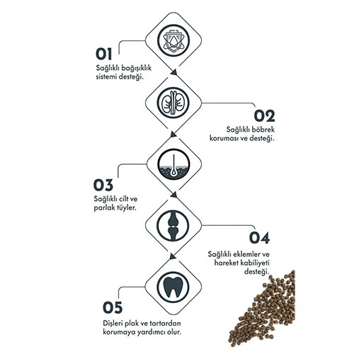 Pro Performance Kuzulu ve Yaban Mersinli Küçük Irk Yavru Köpek Maması 7 Kg - Resim 2