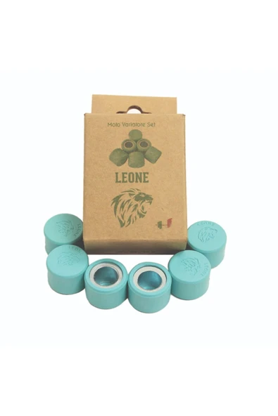 Leone TVS Ntorq 125 18 gr Performans Bagası - Resim 2