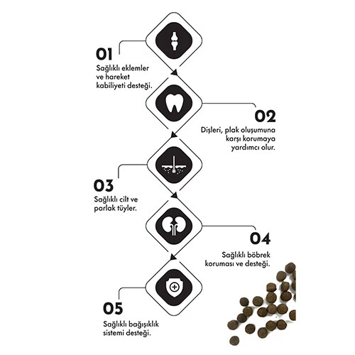 Pro Performance Somonlu ve Yaban Mersinli Orta ve Büyük Irk Yavru Köpek Maması 12 Kg - Resim 3