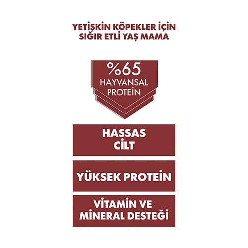 Pro Performance Ultra Premium Biftekli Yetişkin Köpek Konservesi 400 Gr - Resim 3