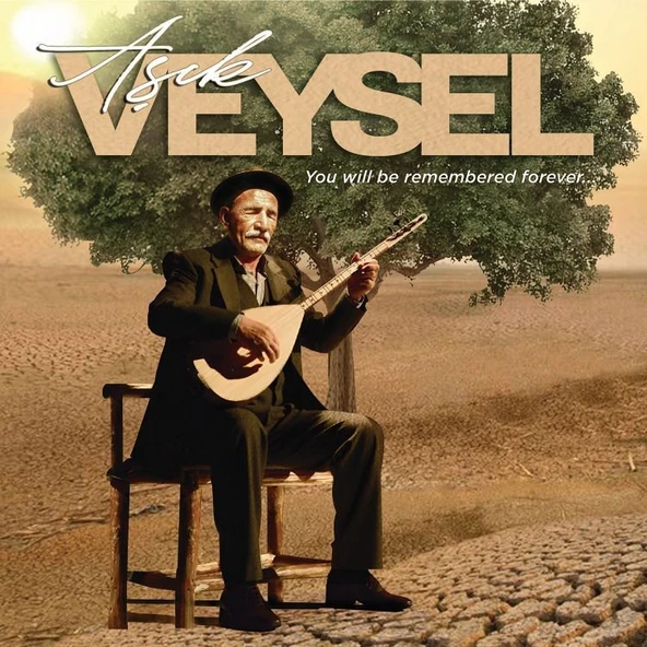 Aşık Veysel Dostlar Beni Hatırlasın - Plak