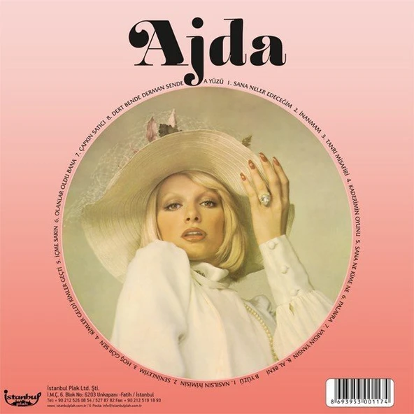 Ajda Pekkan Höş Gör Sen - Plak ürün görseli 1