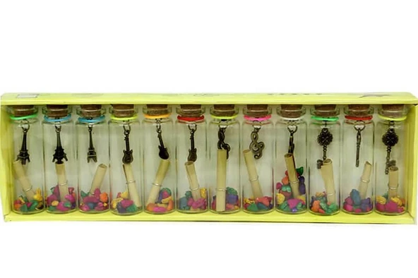 pilelistore Dilek Şişesi 12'li Kutulu