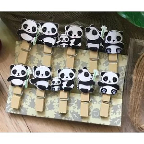 pilelistore Dekoratif Resim Mandalı 12 Paket