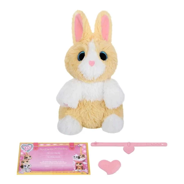 Scruff A Luvs Klasik Seri Sürpriz Kutu CRU10000 - Resim 3