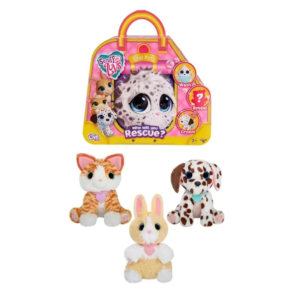 Scruff A Luvs Klasik Seri Sürpriz Kutu CRU10000 ürün görseli