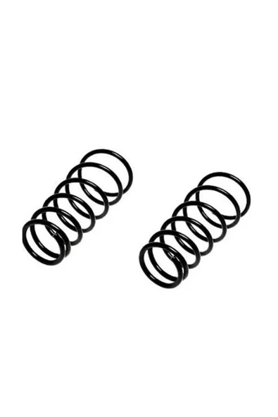 Opel Astra F Arka Helezon Yayı Takım ürün görseli 1