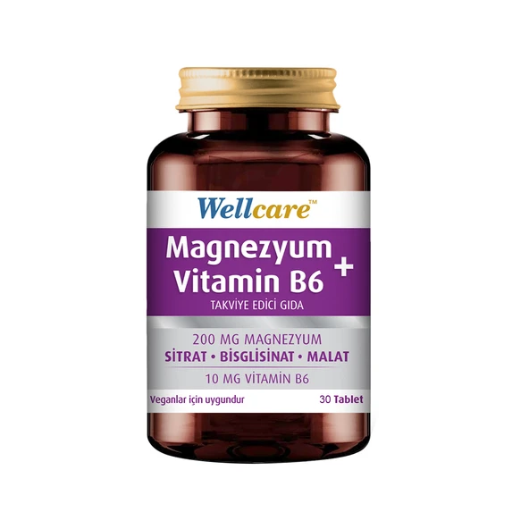 Wellcare Magnezyum + Vitamin B6 30 Tablet ürün görseli
