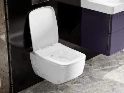 Turkuaz Yeni Mona Rimless Asma Klozet ve Yeni Mona Slim Yavaş Kapanan PP Kapak - Resim 2