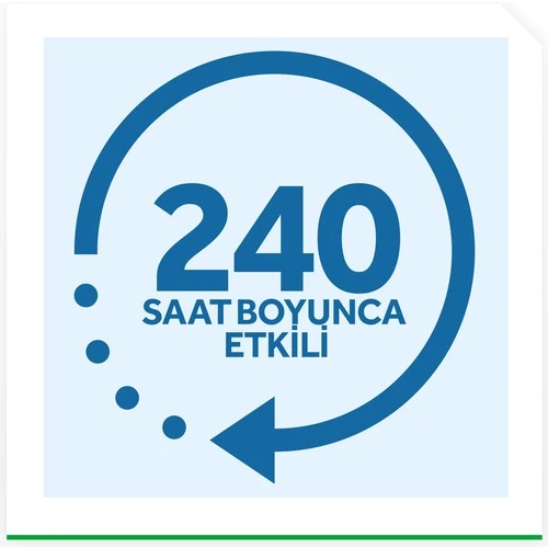 Raid Gece  Gündüz Sistem 2,2 g - Resim 5