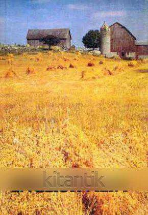 English Alfa Book Three Students Book - 1. Hamur Beyaz Kağıda Renkli Baskı ürün görseli 1