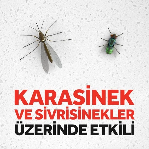 Raid Sineksavar 2İn1 300Ml - Resim 2