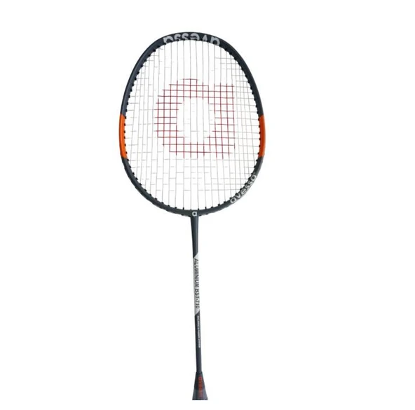 Avessa Bst-710 Badmington Raket Seti Gri - Resim 4