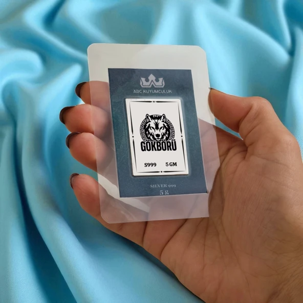 Gücü ve Cesareti Simgeleyen Gökbörü Temalı Hediyeye Özel 999 Ayar Gümüş Külçesi-670 - 2