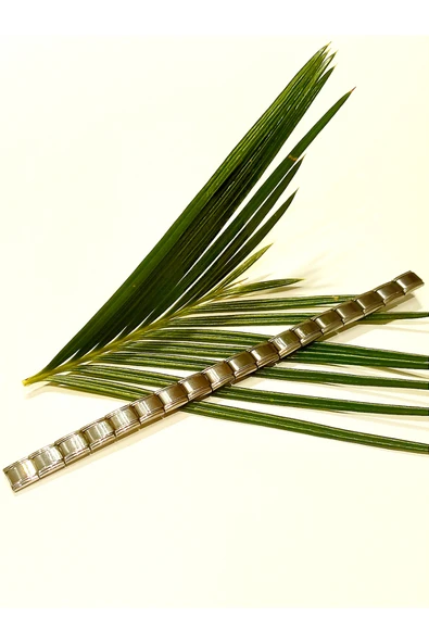 Monalisa Home CARM Gümüş Bileklik ürün görseli 1